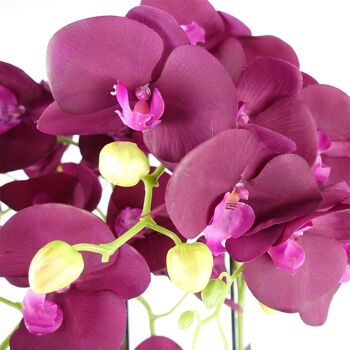 Grande Orchidée Violette - 41 fleurs REAL TOUCH 4