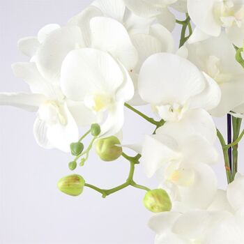 Grande Orchidée Blanche - 41 fleurs REAL TOUCH 2