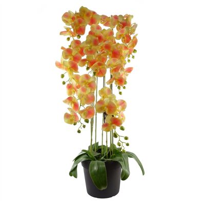 Grande plante d’orchidée pêche jaune - Artifcial - 41 fleurs REAL TOUCH