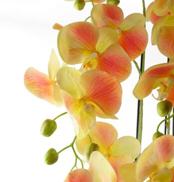 Grande plante d’orchidée pêche jaune - Artifcial - 41 fleurs REAL TOUCH 2