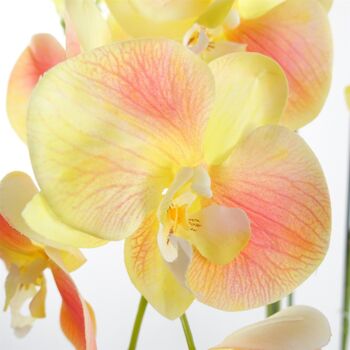 Grande plante d’orchidée pêche jaune - Artifcial - 41 fleurs REAL TOUCH 3