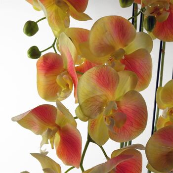 Grande plante d’orchidée pêche jaune - Artifcial - 41 fleurs REAL TOUCH 4