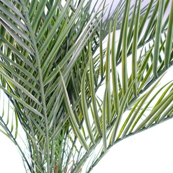 Feuille 120cm Cycas Palmier Résistant Aux UV Extérieur 3