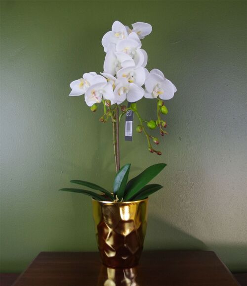 White Artificial Orchid Plant Gold Pot 54cm