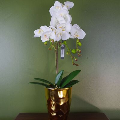 White Artificial Orchid Plant Gold Pot 54cm