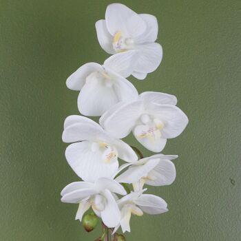 Orchidée Artificielle Blanche Pot Argent 46cm 2