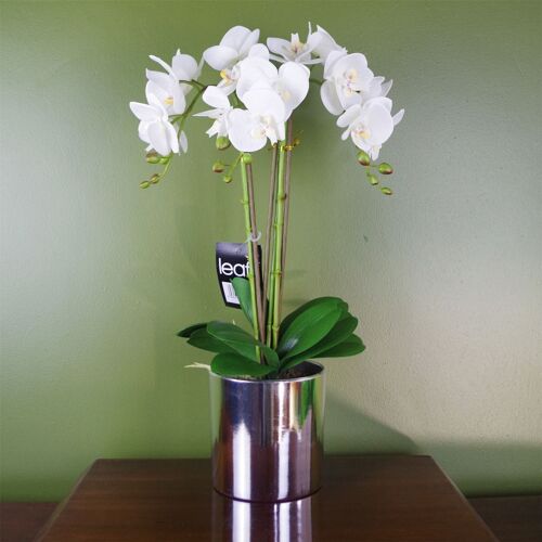 White Silver Artificial Orchid 52cm Real Touch