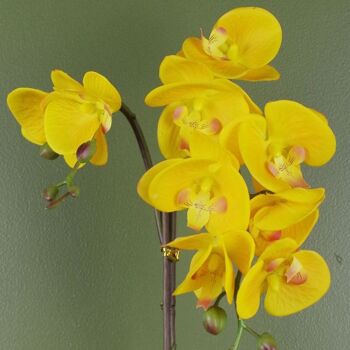 Pot doré artificiel orchidée jaune 48 cm 2