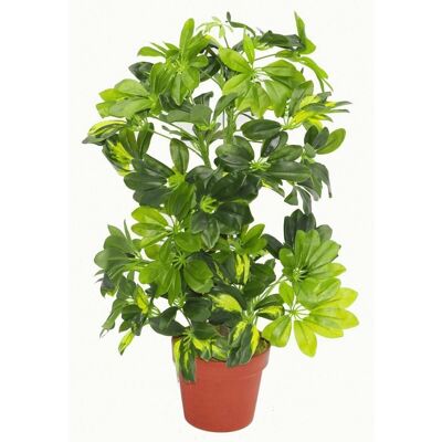 Künstliche Arboricola-Pflanze, 75 cm, goldene Kappe