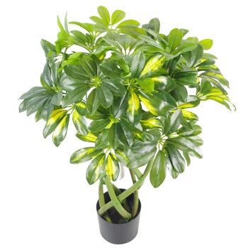 Arbre végétal artificiel Arboricola Golden Capella Bush 70cm 2