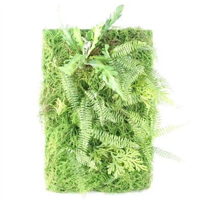 60 cm künstliche GreenWall Farne im natürlichen Look
