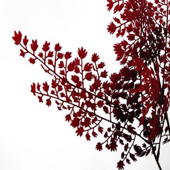 Arbres d'automne artificiels, fougère rouge, plante, feuille de 70cm 2