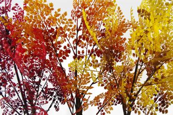 Arbres d'automne artificiels, fougère rouge, plante, feuille de 70cm 3