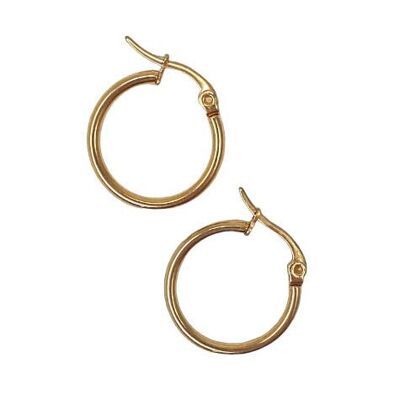 Cara hoop earrings