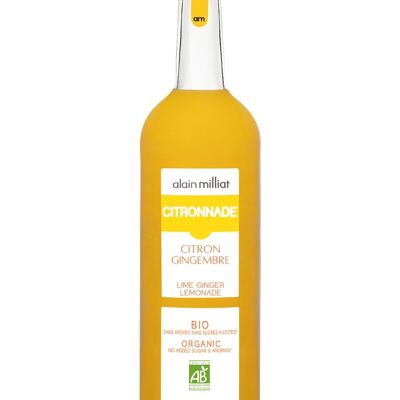 Zitronen-Ingwer-Limonade 75cl