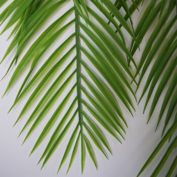 Plante de fougère suspendue à palmier artificiel longue 2