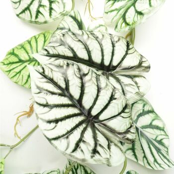 Plante suspendue artificielle de 120cm, lumière réaliste en écailles de Dragon Alocasia 2