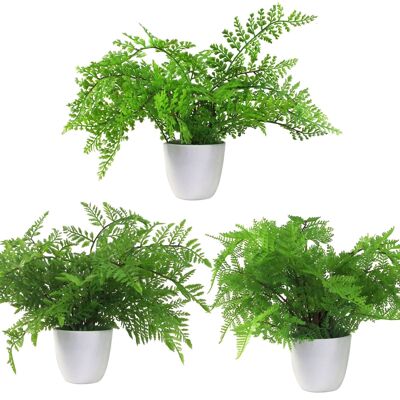 Pack de plantes de fougères artificielles 3 x 30 cm, fougère botanique, présentoir de 30 cm