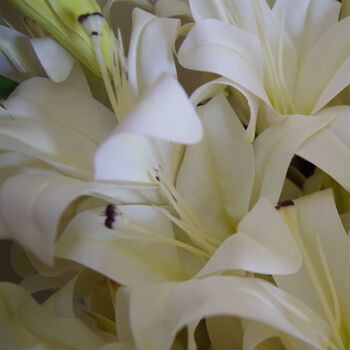 Fleurs artificielles plante de lys tige nue blanche feuille de 60 cm 4