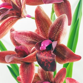 Fleurs artificielles orchidée noire jardinière en céramique rose foncé 50 cm 3