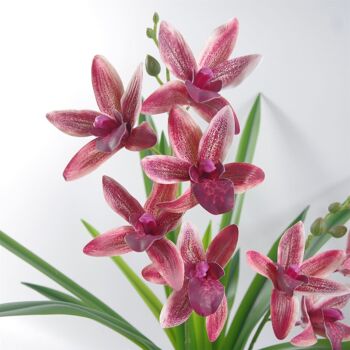 Fleurs artificielles orchidée noire jardinière en céramique rose foncé 50 cm 4