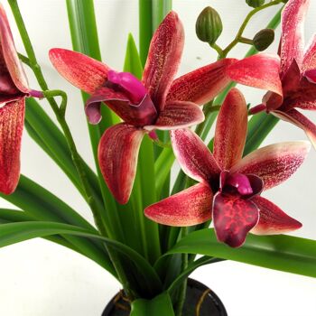 Fleurs artificielles orchidée noire jardinière en céramique rose foncé 50 cm 5
