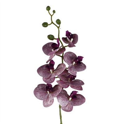Fleurs artificielles orchidée Phalaenopsis tige violette 100cm