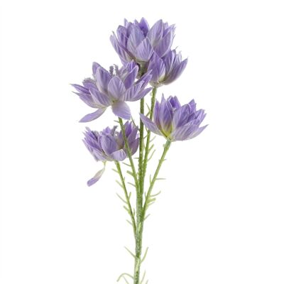 Artificial Flowers Purple Starflower Stem - 5 Flowers 60cm