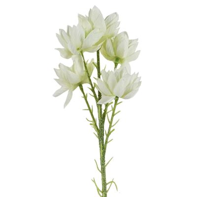 Artificial Flowers White Starflower Stem - 5 Flowers 60cm