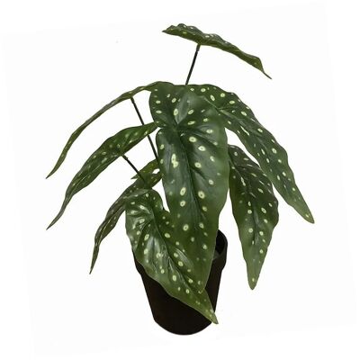 Plante de bégonia artificielle à feuilles