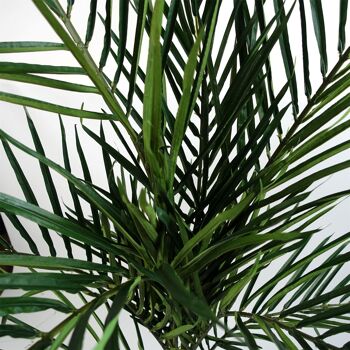 Leaf Design Arbre artificiel palmier Areca 150 cm 2