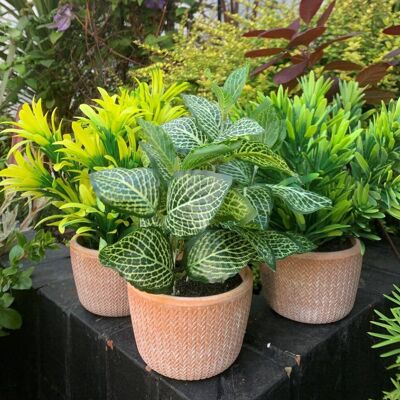 Leaf Three Artificial Plants In Terracotta Pots