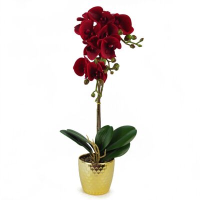 Orchidée Artificielle Rouge Foncé Or Pot 50cm Phalaenopsis