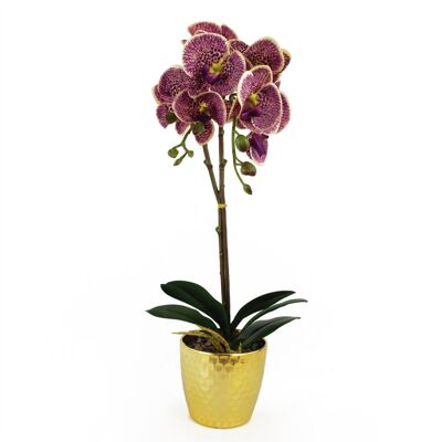 Orchidée Artificielle Léopard Violet Pot Doré 50cm Phalaenopsis