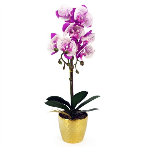 Orchid Artificial Purple White 50cm Gold Pot Phalaenopsis