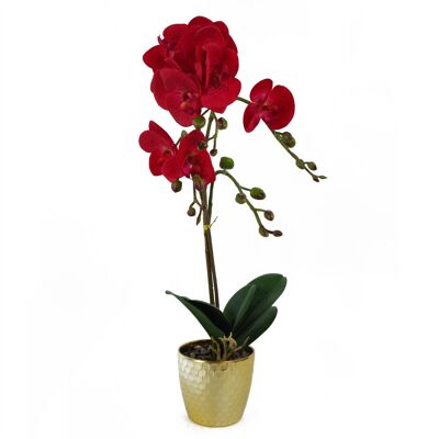 Orchidea artificiale leopardo rosso vaso dorato 50 cm Phalaenopsis