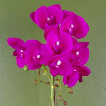 Orchidée Rose Artificielle Argent Foncé 50cm 2