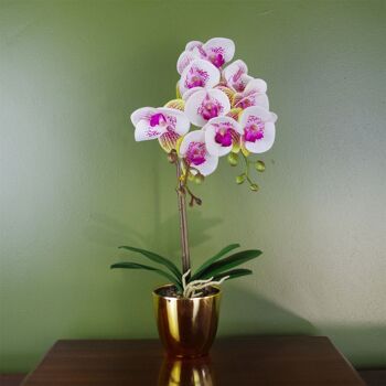Orchidée Rose Artificielle Pot Doré 48cm Arlequin 1