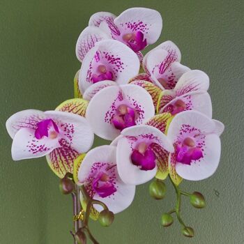 Orchidée Rose Artificielle Pot Doré 48cm Arlequin 2