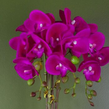 Orchidée Artificielle Rose Argent 52cm Real Touch 2