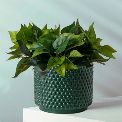 Ceramic Plant Pot Planter Dotty Green 15 x 15 x 12.5cm