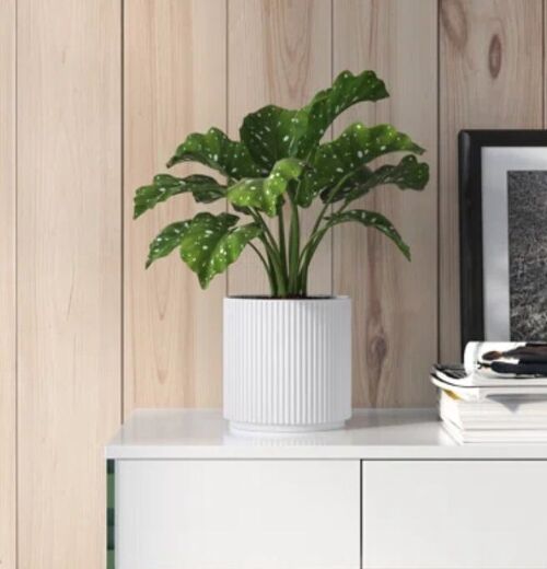 Ceramic Plant Pot Planter Ribbed White 16 x 16 x 15cm by Leaf Design