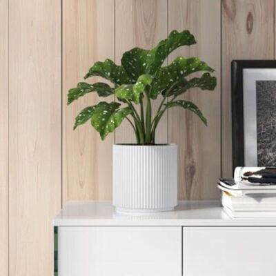Vaso per piante in ceramica a coste bianco 16 x 16 x 15 cm di Leaf Design