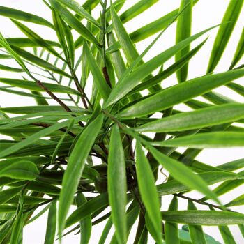 Plante de fougère artificielle réaliste, 40cm, palmier en bambou artificiel 4
