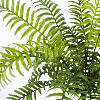 Plante de fougère artificielle réaliste, 50cm, plante artificielle de fougère à frondes de Boston 2