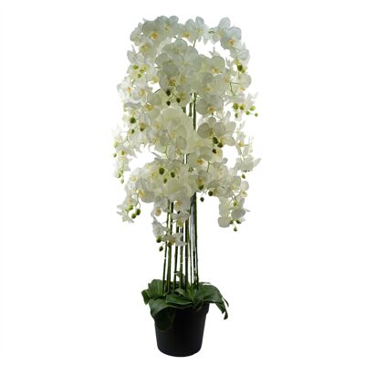 Riesige weiße Orchideenpflanze – künstlich – 189 Blumen, echte Haptik