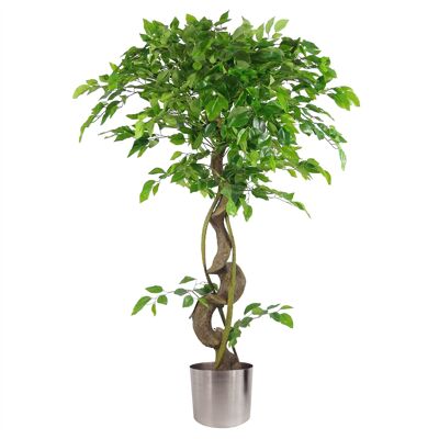 Ficus japonais artificiel Fruticosa argenté 120 cm