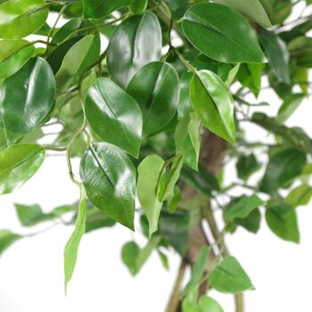 Ficus japonais artificiel Fruticosa argenté 120 cm 2