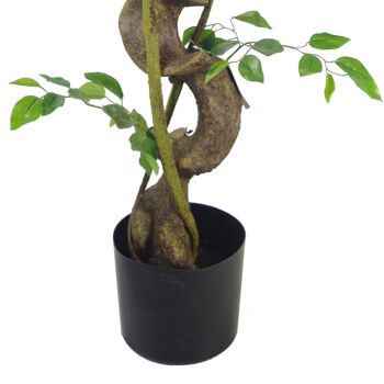 Ficus japonais artificiel Fruticosa argenté 120 cm 4