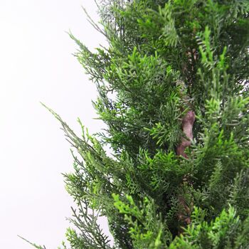 Grand arbre topiaire en cèdre, plante artificielle de 120 cm 4